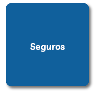 8. seguros