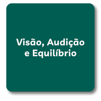 8. visão, audição e equilíbrio